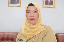 Dinas Perpusip Serdang Bedagai gelar kompetisi kreatif