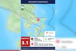 BMKG sebut aktivitas sesar aktif sebabkan dua kali gempa di Moramo Konsel