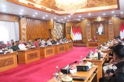 Gubernur Koster bentuk tim berantas bisnis WNA ilegal