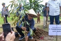 Gerakan Indonesia Menanam di Kabupaten Serang