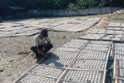 UMKM produksi kerupuk di Lebak serap ribuan tenaga kerja
