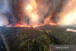 Kebakaran hutan di Kanada barat dan tengah, lebih dari 26.000 warga dievakuasi
