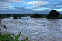 151 orang tewas akibat banjir di Nigeria
