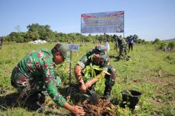 Program TMMD Kodim Banda Aceh tanam 250 pohon produktif