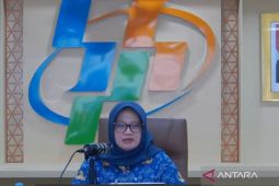 BPS memperkirakan produksi beras Mei-Juli 2025 mencapai 7,75 juta ton