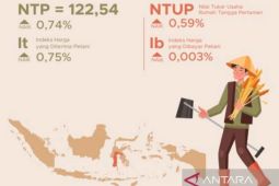 Nilai tukar petani Sulsel pada Mei 2025 naik 0,74 persen