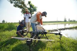 Pemkab Kediri semprotkan pupuk mikro pulihkan tanaman terdampak banjir