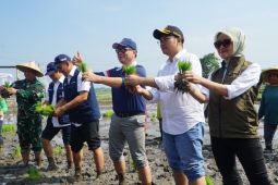 Bulog pastikan serap gabah petani sesuai arahan pemerintah