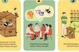 Program EduBee UI kembangkan peternakan lebah tanpa sengat di pesantren Klaten