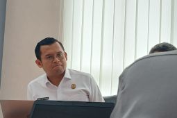 Ditjen Imigrasi: Pengungsi Rohingya di Aceh tinggal 429 orang