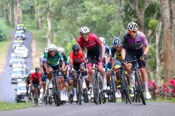 B-Fest jadi payung besar orkestrasi pembangunan Banyuwangi