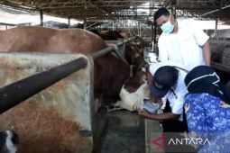 Perbedaan Puasa Arafah dan Tarwiyah: Waktu, bacaan niat, dan pahalanya