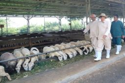 Diskannak Garut meningkatkan pengawasan hewan kurban dari luar daerah