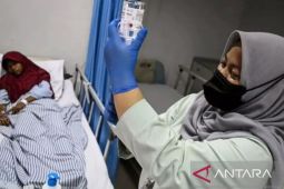 Dinkes Karawang : Tujuh orang meninggal akibat DBD
