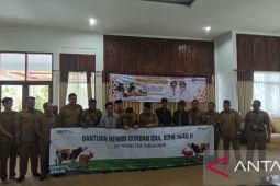 Bangka Tengah terima bantuan hewan kurban dari Presiden Prabowo