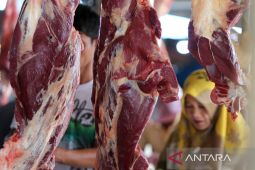 FOTO - Kenaikan harga daging jelang tradisi meugang Idul Adha