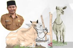 Kebutuhan hewan kurban untuk Tanjung Balai dari luar daerah
