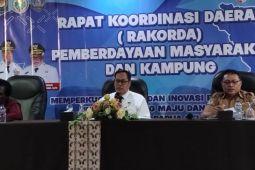 Pemprov Papua Selatan sebut dana desa untuk pembangunan secara terencana