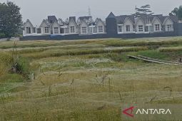 Pemkot Malang pastikan penyaluran pupuk subsidi sesuai RDKK