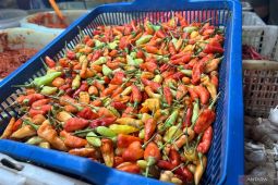 Harga pangan Rabu ini, cabai rawit Rp48.196/kg dan bawang merah Rp38.154/kg