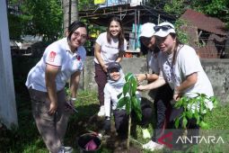 Srikandi dan PIKK PLN Suluttenggo tanam pohon peduli lingkungan