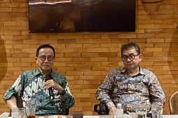 Penanganan judi online perlu pendekatan yang sistemik