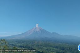 Semeru alami erupsi dengan letusan setinggi 800 meter di atas puncak