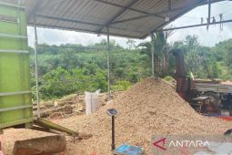 Aktivitas Co-Firing biomassa untuk PLTU buka peluang kerja di Konawe Selatan