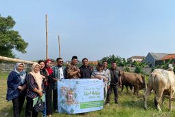 InJourney bagikan hewan kurban ke-12 desa sekitar Bandara Soetta