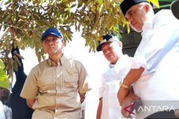 Menteri Transmigrasi: Hilirisasi di kawasan transmigrasi Sigi tingkatkan ekonomi