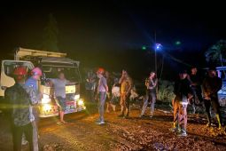 Marak maling TBS berkedok klaimer di PT ANA, masyarakat Towara pasang badan