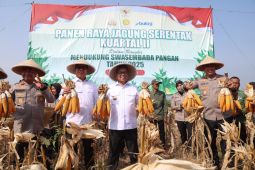 Pemprov Banten tingkatkan produksi jagung hingga 750 hektare