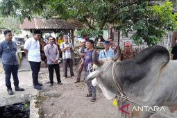 Pemkot Padangsidimpuan serahkan hewan kurban Presiden Prabowo di Desa Joring Lombang