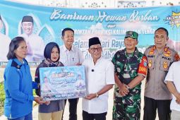 Pemkab Murung Raya anggarkan Rp1,2 miliar untuk pengadaan hewan kurban
