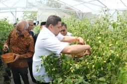 Pemkot Makassar perkuat kemandirian ekonomi lewat program pertanian kota