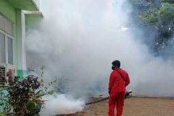 Pemkab Paser terbitkan surat edaran waspada demam berdarah