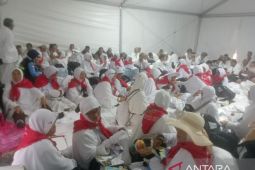 Jamaah calon haji Belitung laksanakan wukuf di Arafah