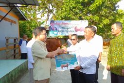 Bupati Sambas serahkan sapi kurban dari presiden ke warga Samustida