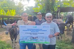 Pelindo Petikemas siapkan 30 Juleha bersertifikat BNSP