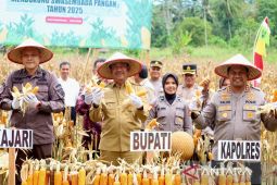 Pemkab Madina dukung program tanam jagung yang digagas Kapolres