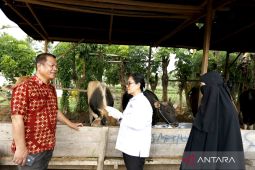 Pemprov Gorontalo pastikan kesehatan hewan kurban jelang Idul Adha