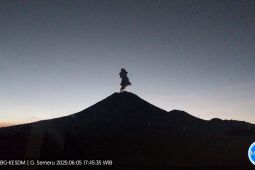 Letusan Gunung Semeru capai 800 meter di atas puncak saat erupsi