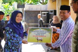 Pemkot Probolinggo berikan 27 hewan kurban untuk masyarakat