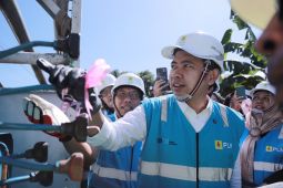 Pemkab Jember-PLN pasang 220 tiang listrik di pelosok Dusun Bandealit
