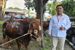 Sejumlah perusahaan di JIIPE salurkan puluhan hewan kurban