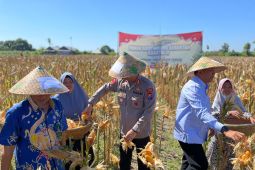 Kapolres Situbondo sebut panen raya komitmen Polri dukung ketahanan pangan