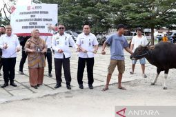 Pemkab Bone Bolango menyerahkan sapi bantuan ke Lapas Gorontalo