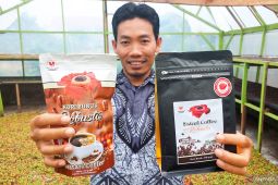 Cerita Lestari Kopi Bengkulu kini tak lagi sendiri dan tembus dunia