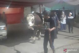 Kabupaten Bekasi terima tiga ekor sapi kurban dari Presiden Prabowo