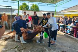 Polda Bangka Belitung potong 55 hewan kurban